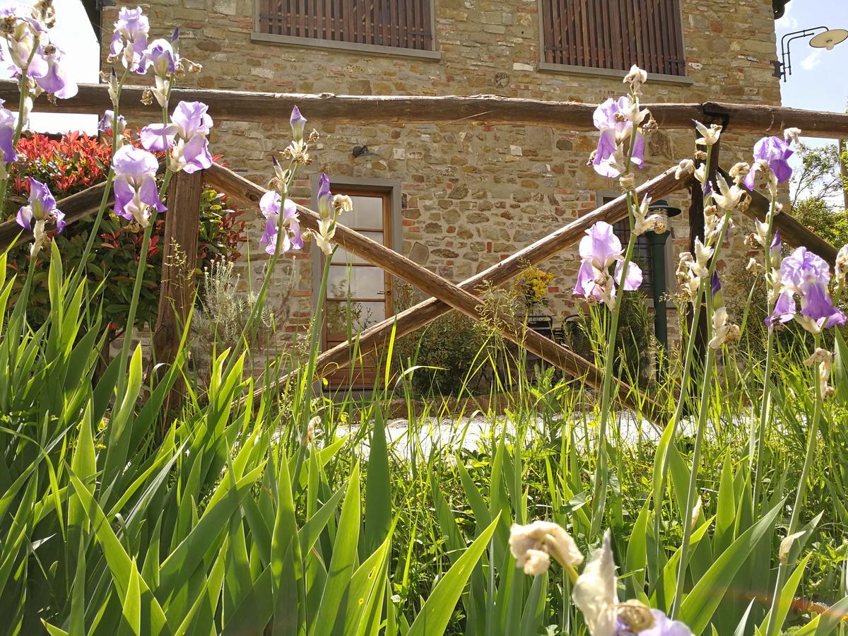 Residence Il Poggiolino Montecarelli ภายนอก รูปภาพ